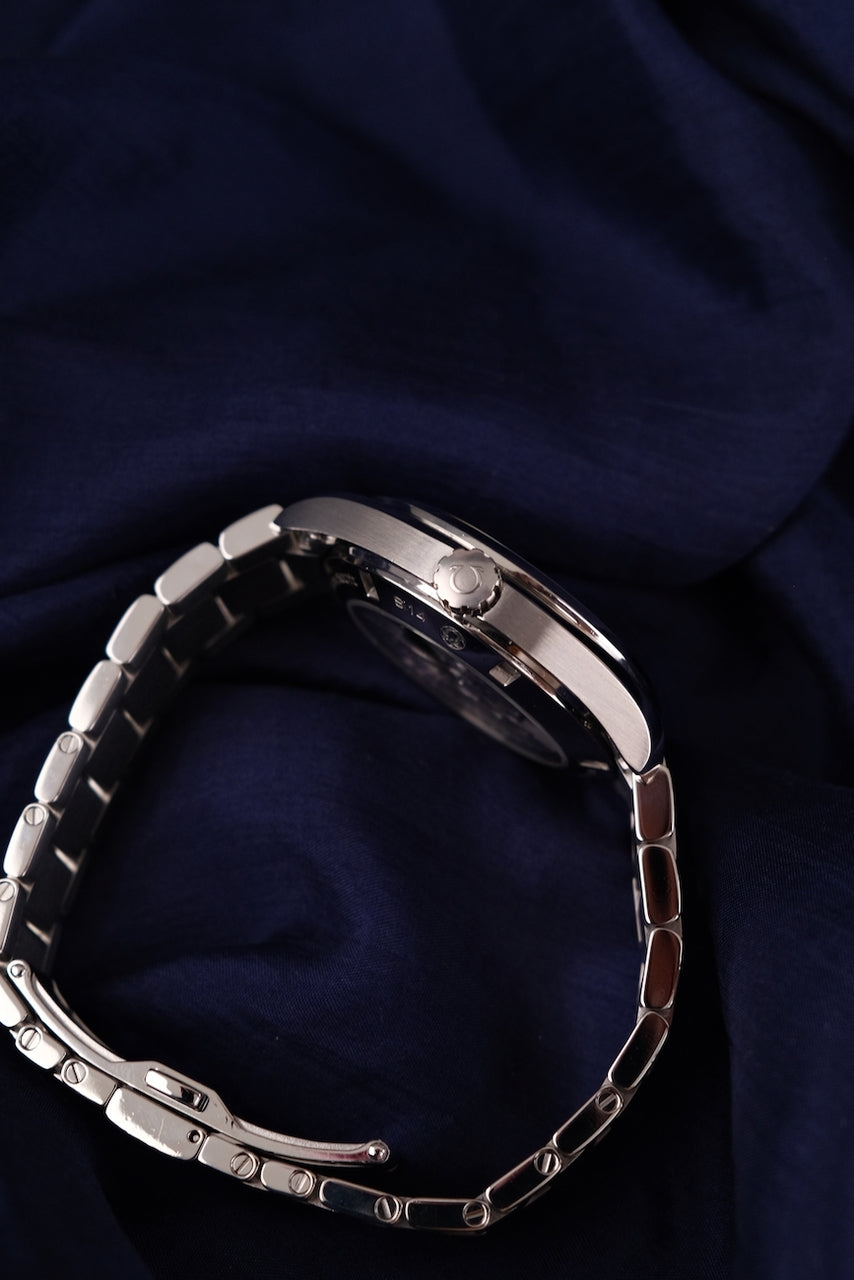 Omega Seamaster Aqua Terra 23110422103003 - Detail view 7