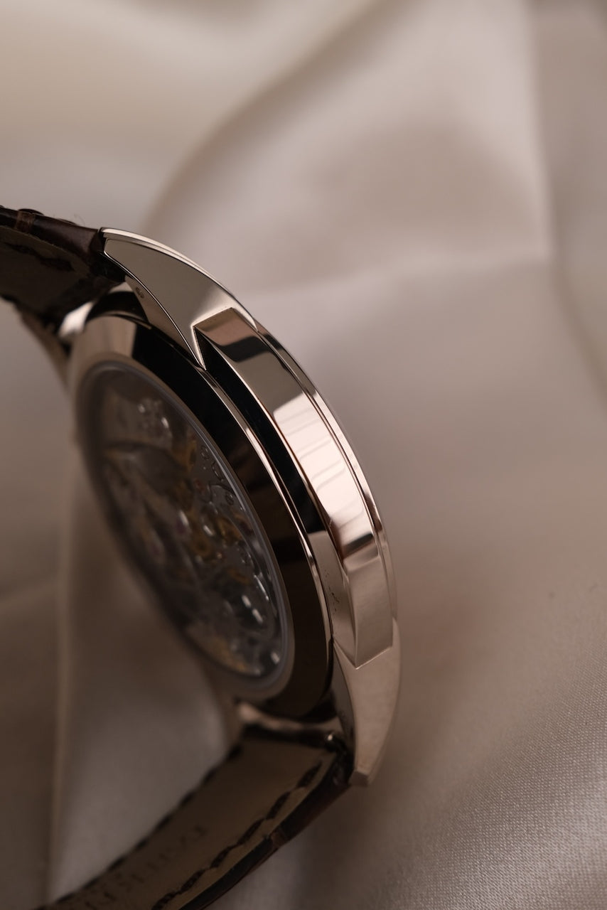 Patek Philippe Complications 5172G-010 Box + og. Papiere Salmon Dial, White Gold, New/Unworn, 2025, 41mm