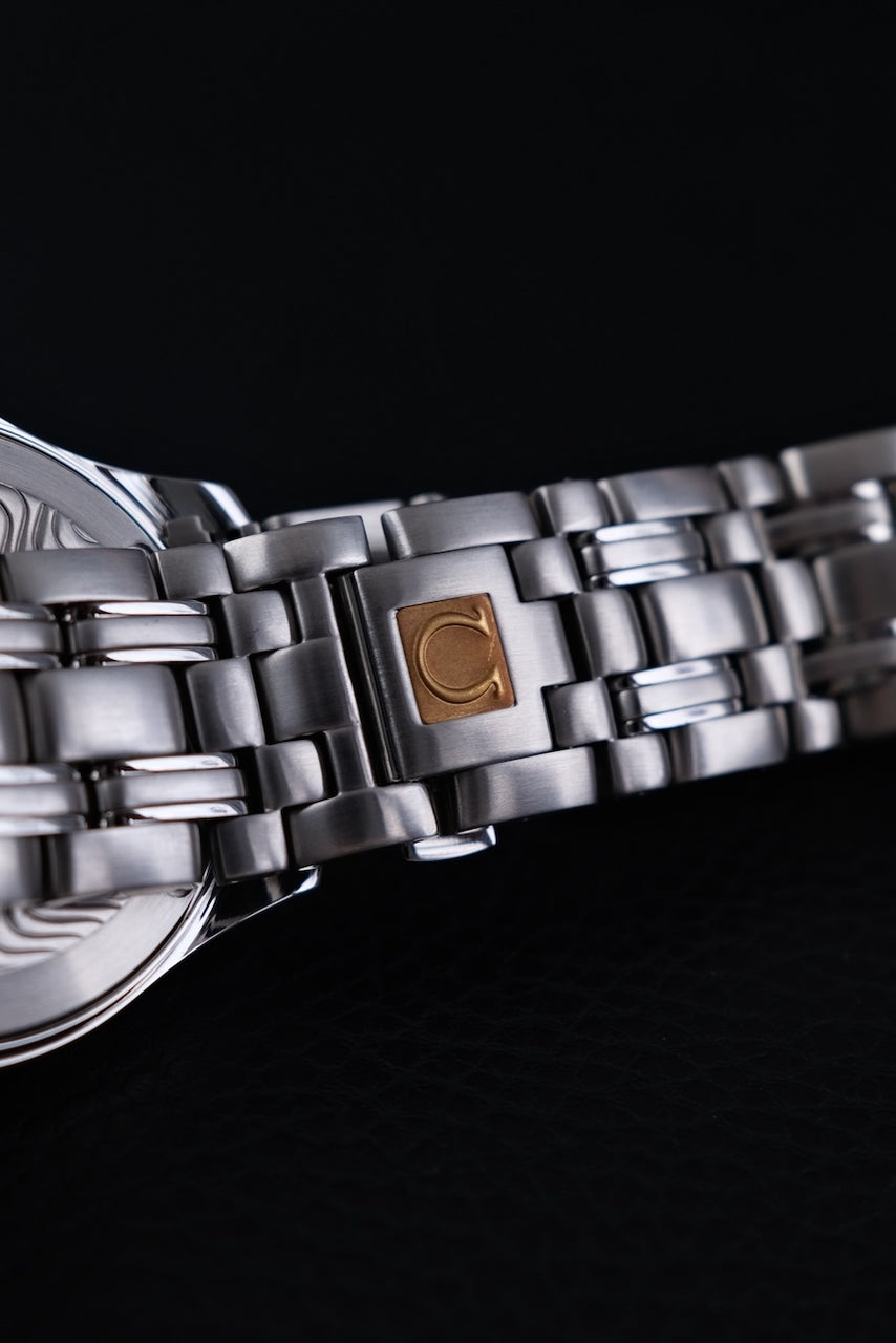 Omega Seamaster 120M 251183 - Detail view 7