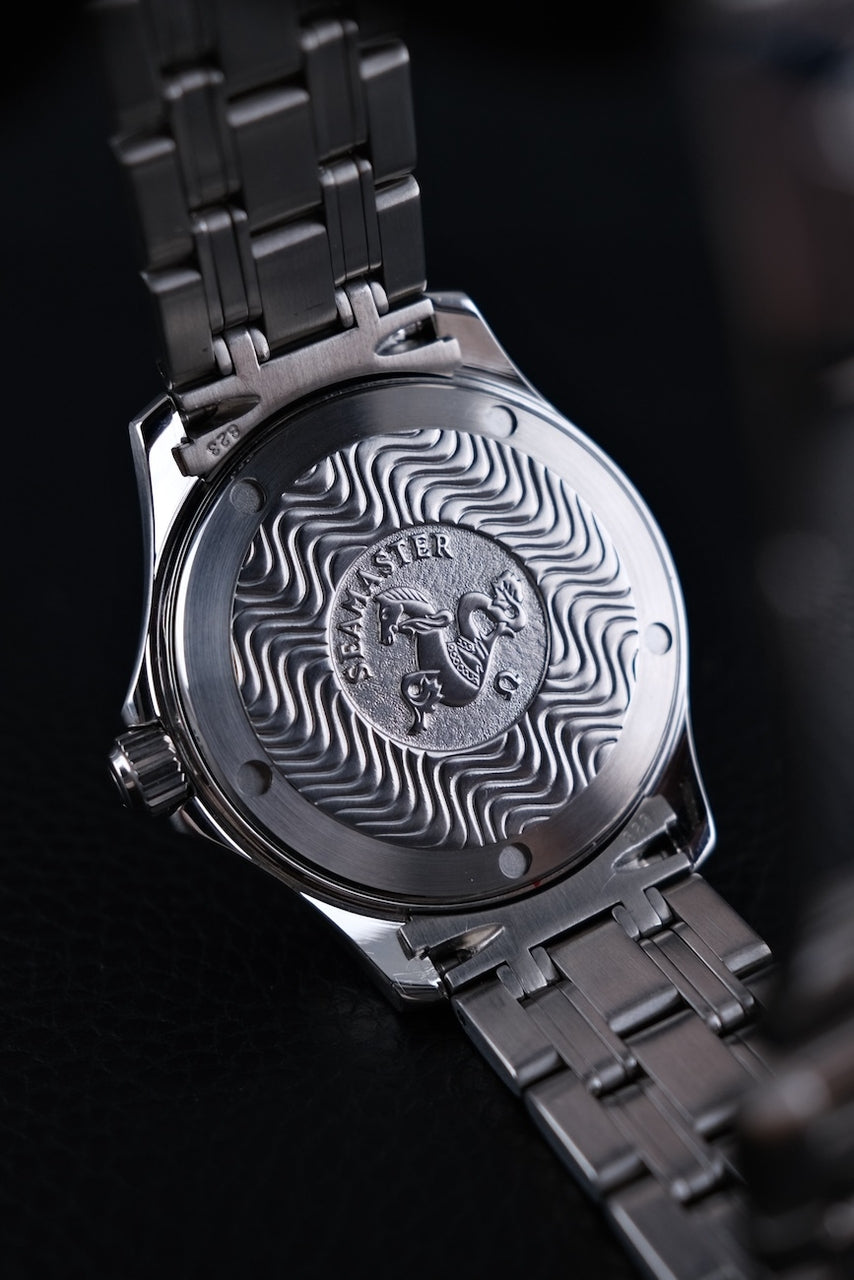 Omega Seamaster 120M 251183 - Detail view 9